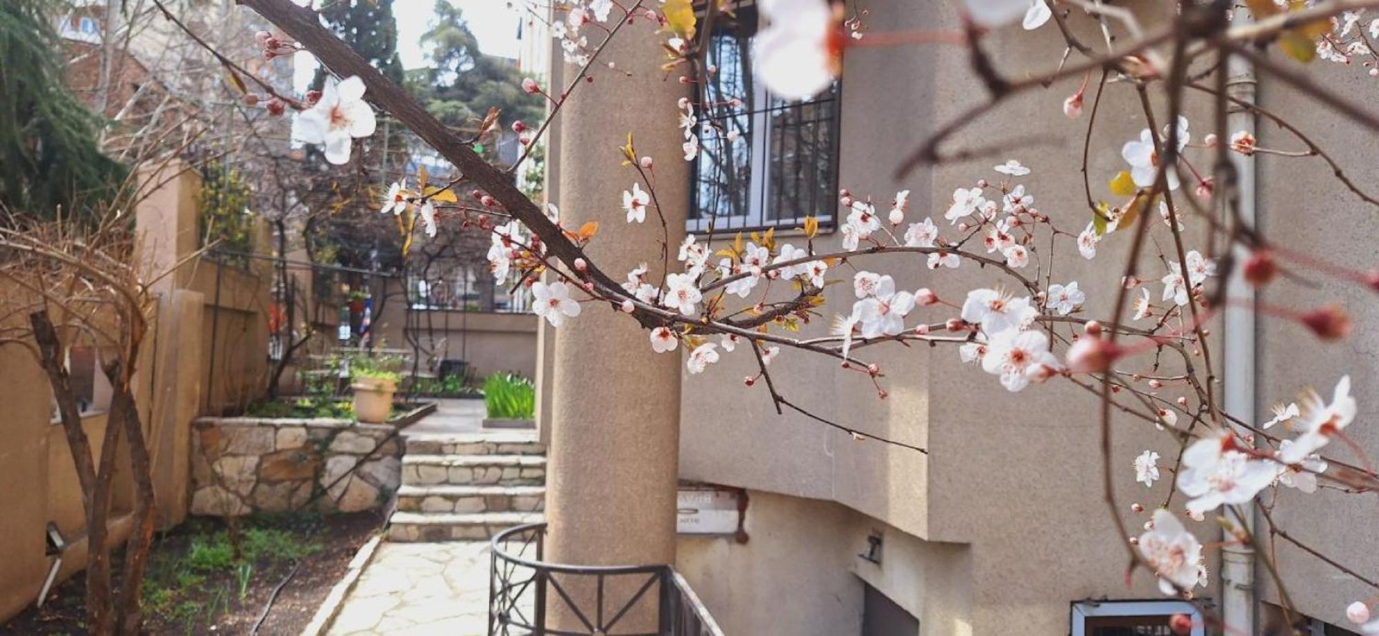 Iliani Hotel Tiflis Exterior foto